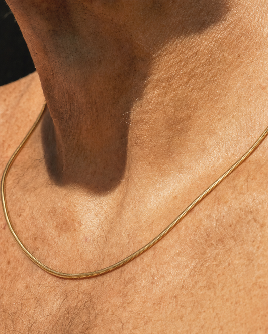 Classic Necklace 18K gold finish, macro collarbone