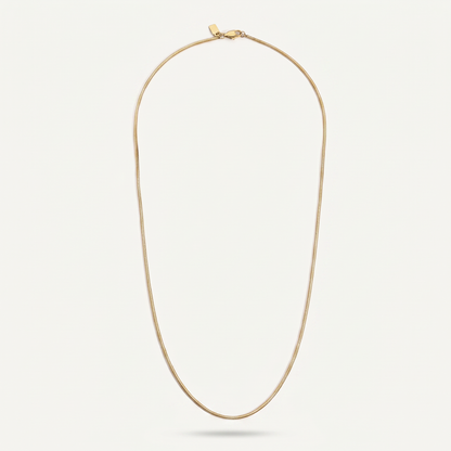 Gold chain necklace on white